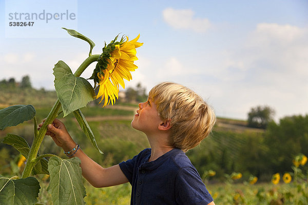 Junge riecht Sonnenblume im Freien