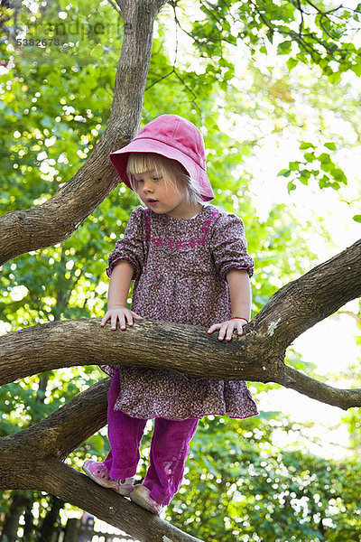 Baum  Wald  Mädchen  klettern