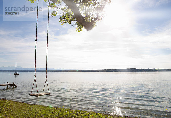 Leere Baumschaukel am See