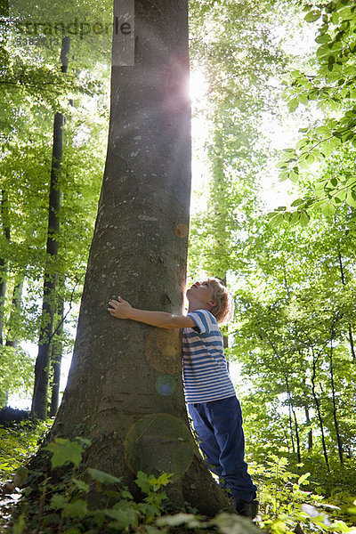 Junge umarmt Baum im Wald