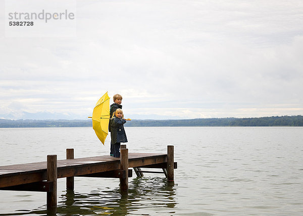 Regenschirm  Schirm  gelb  Dock