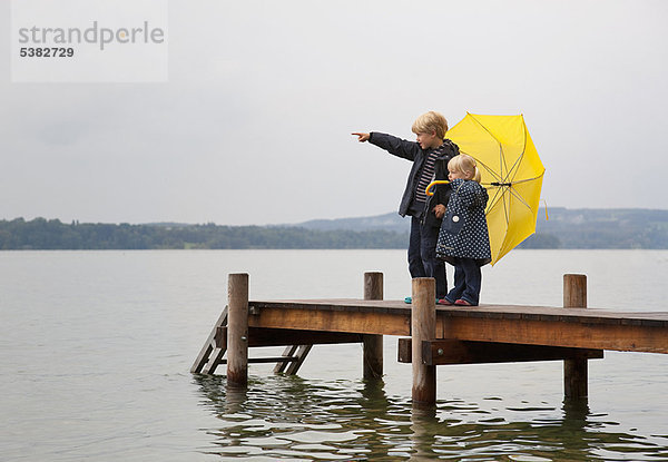 Regenschirm  Schirm  gelb  Dock