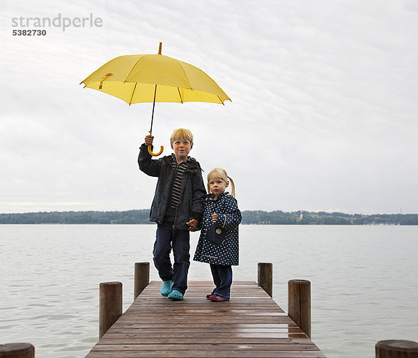 Regenschirm  Schirm  gelb  Dock