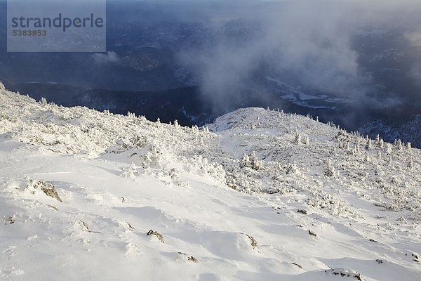 Benediktenwand im Winter  Benediktbeuern  Bayern  Deutschland  Europa