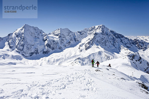 Skitourengeher beim Abstieg der hinteren Schöntaufspitze  Sulden im Winter  hinten die Königsspitze und der Zebru und Ortler  Südtirol  Italien  Europa