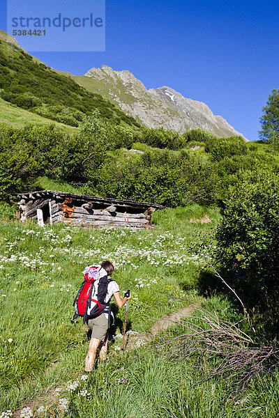 Bergsteiger beim Aufstieg zum Hochfeiler durch das Pfitschertal  Südtirol  Italien  Europa
