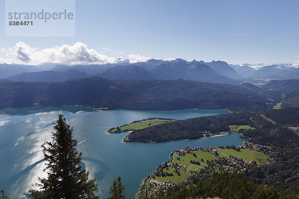 See und Ort Walchensee mit Halbinsel Zwergern  Blick vom Herzogstand  Oberbayern  Bayern  Deutschland  Europa  ÖffentlicherGrund