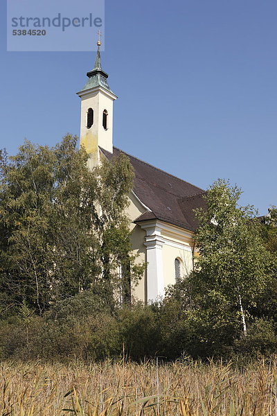 Wallfahrtskirche St. Rasso  Ampermoos  Grafrath  Fünfseenland  Oberbayern  Bayern  Deutschland  Europa  ÖffentlicherGrund