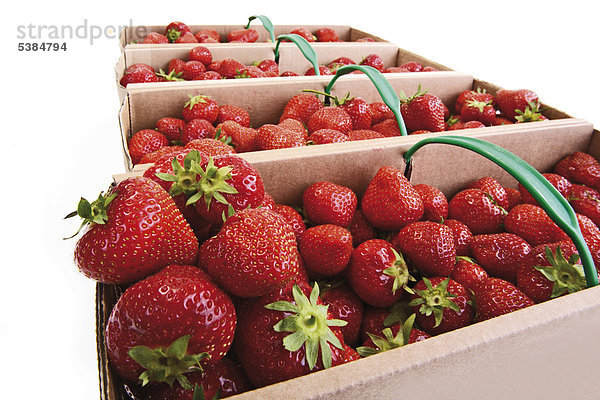 Körbe mit Erdbeeren