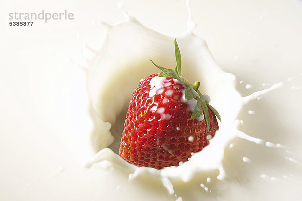 Eine Erdbeere fällt in Milch