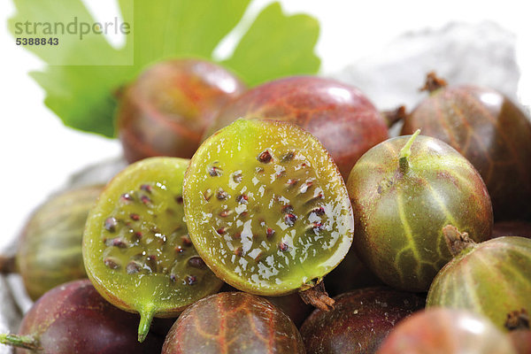 Stachelbeeren (Ribes uva-crispa)