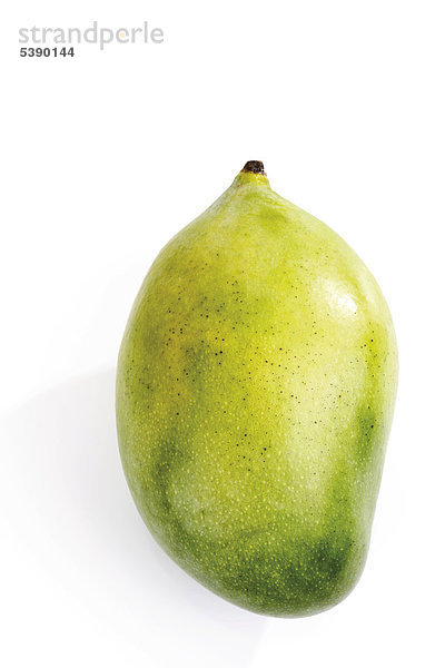 Mango  Israel (Mangifera indica)