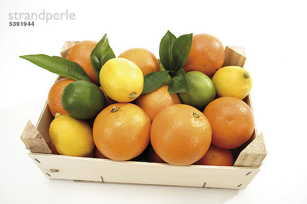 Frucht Zitrusfrucht
