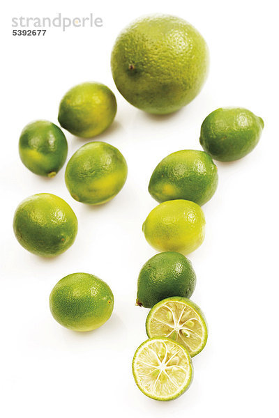 Limequats ( Kreuzung aus Kumquats und Limetten) und eine Limette hinten