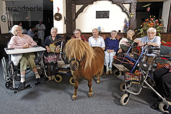 Im Altenheim  Pflegeheim  Bewohner haben Besuch von einem Pony