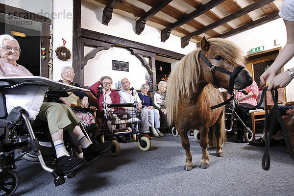 Im Altenheim  Pflegeheim  Besuch von einem Pony
