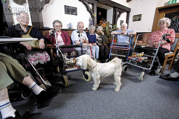 Im Altenheim  Pflegeheim  Besuch von einem Hund