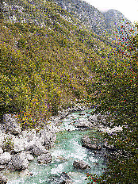 Türkisfarbener Fluss Soca im Socatal nahe Bovec  Triglav Nationalpark  Slowenien  Europa