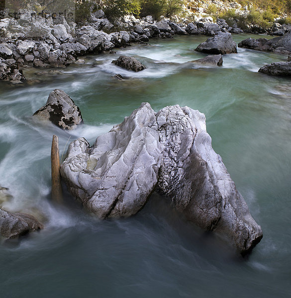 Fels im türkisfarbenen Fluss Soca im Socatal nahe Bovec  Triglav Nationalpark  Slowenien  Europa