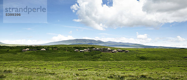 Hütten  Dorf der Massai  Maasai  Maassai  Masai  Boma  Ngorongoro Conservation Area  Tansania  Afrika