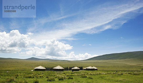 Hütten  Dorf der Massai  Maasai  Maassai  Masai  Boma  Ngorongoro Conservation Area  Tansania  Afrika