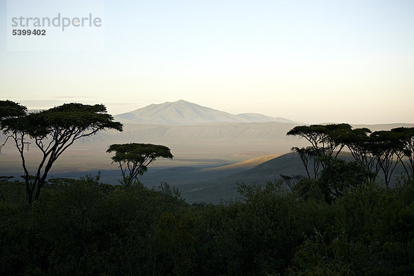 Sonnenaufgang  Ngorongoro Krater  Vulkan  Nordrand  Ngorongoro Conservation Area  Tansania  Afrika