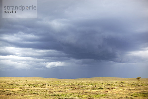 Dramatische Wolken über der Serengeti  Tansania  Afrika