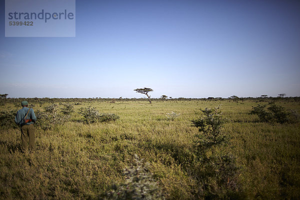 Ranger in der Serengeti  Tansania  Afrika