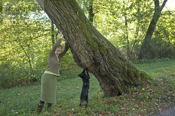 Frau und Hund stützen einen Baum  Schlosspark Belvedere  Weimar  Thüringen  Deutschland  Europa