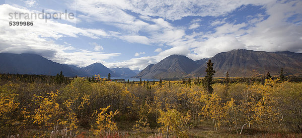 Indian Summer  Herbstfarben  Kathleen Lake  St. Elias Mountains  Kluane National Park und Reserve  Yukon Territory  Kanada