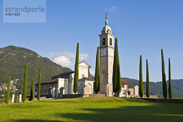 Zypressen (Cupressus)  Zypressenallee  Kirche Sant Abbondio in Gentilino  bei Montagnola  Luganese  Tessin  Schweiz  Europa