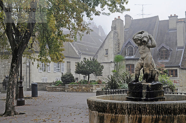 Brunnen  Altstadt  Nebel  Dole  Departement Jura  Franche-Comte  Frankreich  Europa  ÖffentlicherGrund