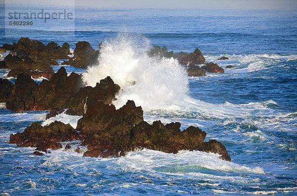 Porto Moniz  Portugal  Europa  Madeira  Küste  Meer  Atlantik  Wasser  Wellen  Schaum  Element  natürliche Kraft  Energie  Felsen  Felsen