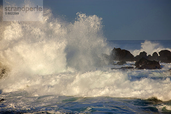 Porto Moniz  Portugal  Europa  Madeira  Küste  Meer  Atlantik  Wasser  Wellen  Schaum  Element  natürliche Kraft  Energie  Fels  Klippe  Lava Stein