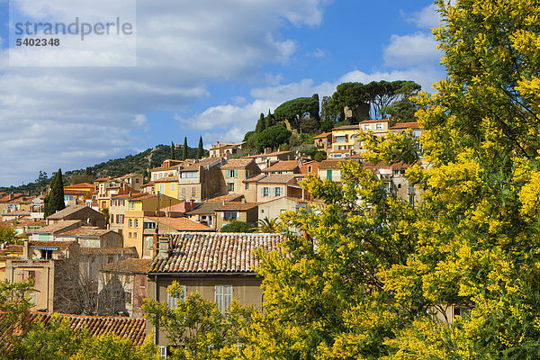 Frankreich Europa Wolke Wohnhaus Baum Gebäude Stadt Großstadt Provence - Alpes-Cote d Azur Altstadt Var