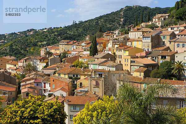 Frankreich Europa Wohnhaus Baum Gebäude Stadt Großstadt Provence - Alpes-Cote d Azur Altstadt Var