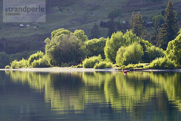 Bäume am Ufer spiegeln sich im ruhigen Wasser des Sees Lake Wanaka  Südinsel  Neuseeland