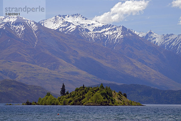 Eine grüne Insel im Lake Wanaka  hinten die schneebedeckten Gipfel der Südinsel  Neuseeland