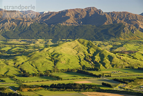 Grüne Hügel und Wiesen im warmen Morgenlicht  in der Nähe von Queenstown  von den Remarkables aus gesehen  einem Gebirgszug  Südinsel  Neuseeland