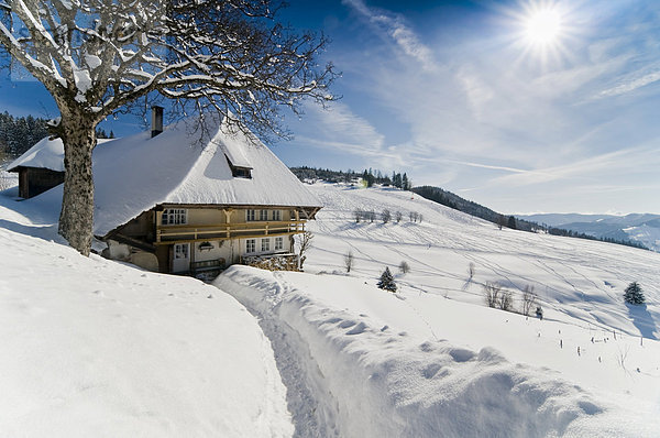 Verschneites Bauernhaus in Muggenbrunn  Schwarzwald  Baden-Württemberg  Deutschland  Europa