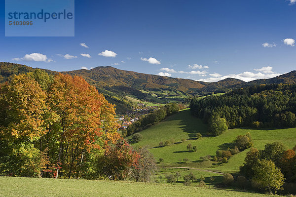 Glottertal  Schwarzwald  Baden-Württemberg  Deutschland  Europa