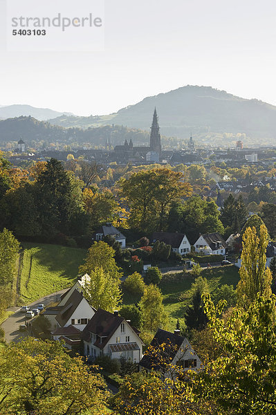 Freiburg im Breisgau  Schwarzwald  Baden-Württemberg  Deutschland  Europa