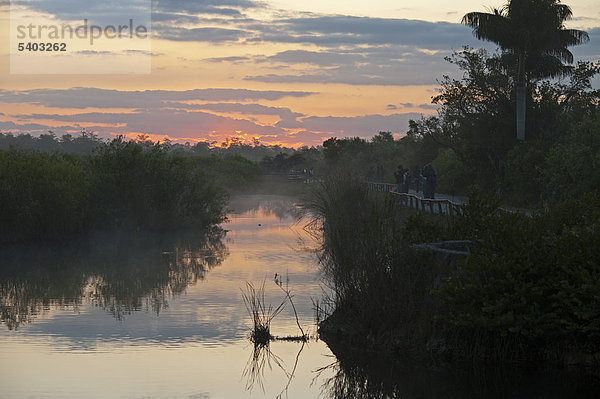 Anhinga Trail in der Morgendämmerung  Everglades  Florida  USA