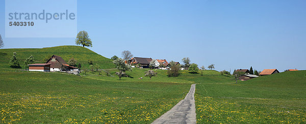 Reisen  Natur  Landwirtschaft  Europa  Schweiz  Zug Menzingen  Bauernhaus  Ackerland  ländlich  ruhig  Scenic  Landschaft  blauer Himmel  grün  Frühling  Wiese  Feld  niemand  Baum  Horizontal