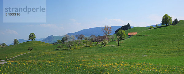 Reisen  Natur  Landwirtschaft  Europa  Schweiz  Zug Menzingen  Bauernhaus  Ackerland  ländlich  ruhig  Scenic  Landschaft  blauer Himmel  grün  Frühling  Wiese  Feld  niemand  Baum  Pnorama