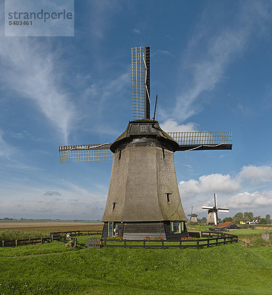 Niederlande  Europa  Holland  Schermerhorn  Windmühle  Polder  De Schermer  Feld  Wiese  Sommer