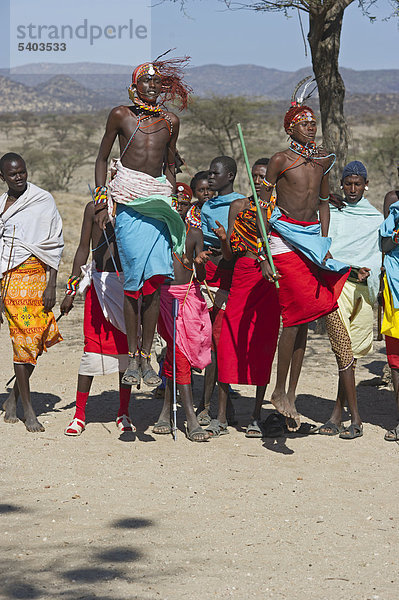 Masai-Krieger führen Spring-Tanz für Touristen auf  Samburu  Kenia  Afrika