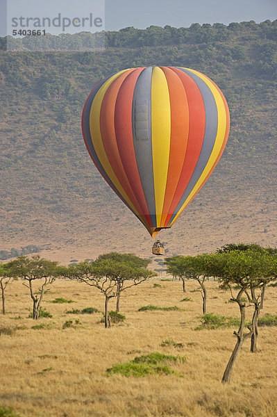 Heißluftballon mit Touristen über der Masai Mara  Kenia  Afrika
