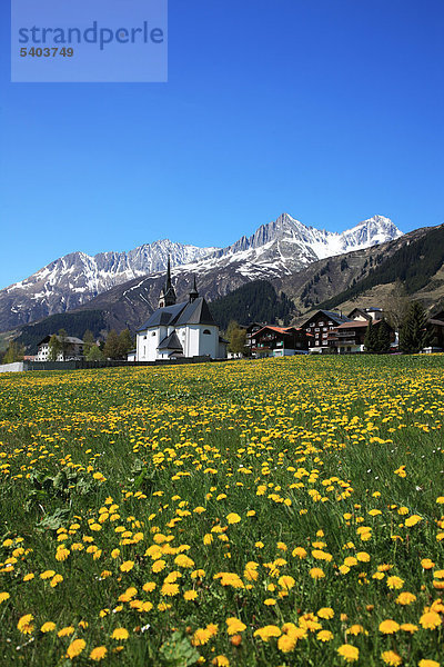Reisen  Geografie  Natur  Europa  Schweiz  Graubünden  Graubünden  Sedrun  Dorf  Kirche  Schweizer Alpen  Berg  Löwenzahn  Feld  ruhige  Landschaft  landschaftlich  vertikal