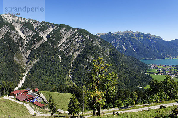 Feilalm am Feilkopf  bei Pertisau am Achensee  Karwendel  Tirol  Österreich  Europa